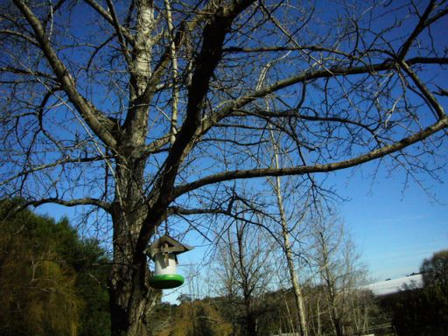green_05