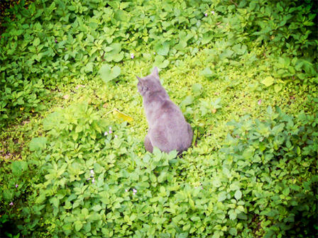 green_05