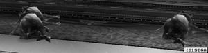 WS000950.JPG