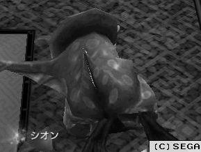 WS000954.JPG