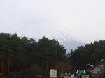 11fuji.JPG