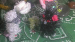 100608_015220.jpg