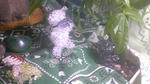 100609_004959.jpg