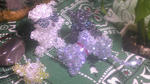 100609_005411.jpg
