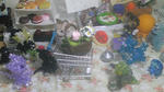 100615_004748.jpg