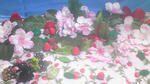 100617_003130.jpg