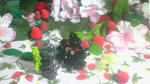 100617_230506.jpg