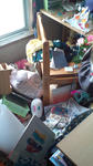 20110313110412.jpg