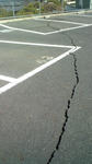 20110314105651.jpg