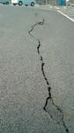 20110314105833.jpg