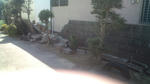 20110314113411.jpg