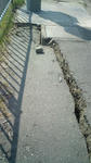 20110317114121.jpg