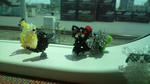 20120512102856.jpg