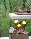 20120512133829.jpg