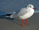 20120614232227.jpg