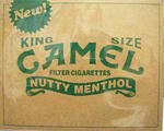 camel