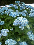 20110707172226.jpg