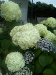 20110707172420.jpg