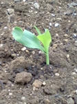 20110707175902.jpg