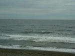 20110708095749.jpg