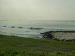 F1001497.jpg