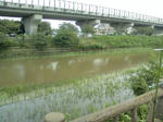 d760c4aa.jpg