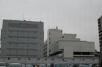 DSC_0805.JPG