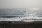 DSC_0875.JPG