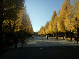 20111211125237.jpg
