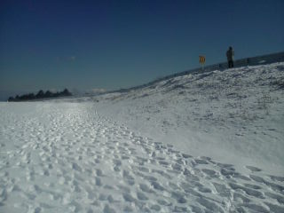 20120131125509.jpg