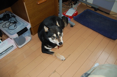 DSC_1725.JPG