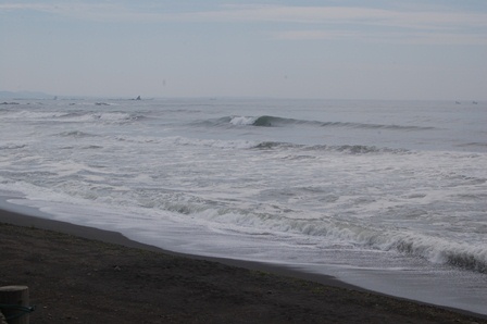 DSC_1761.JPG