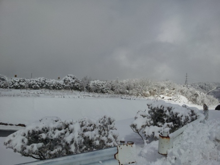 20130220_120748.jpg