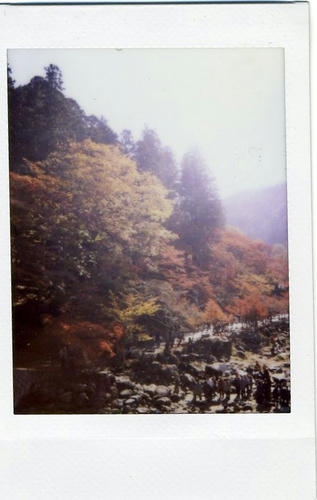 img036.jpg