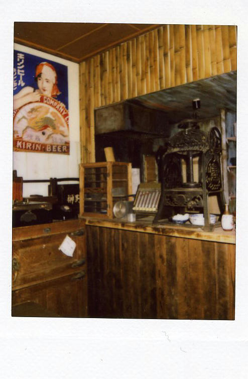 img039.jpg