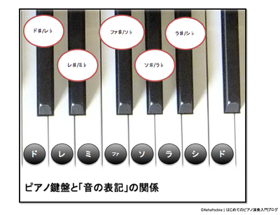 ピアノ鍵盤と音の表記の関係 | イメージ