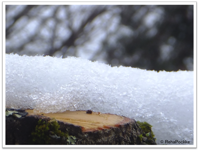 雪の写真画像イメージ | 冬の季節_1