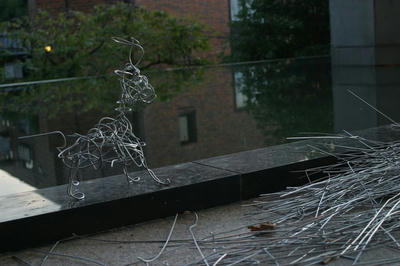 27904847_4045343115.jpg
