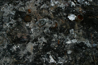 27904847_2137121903.jpg