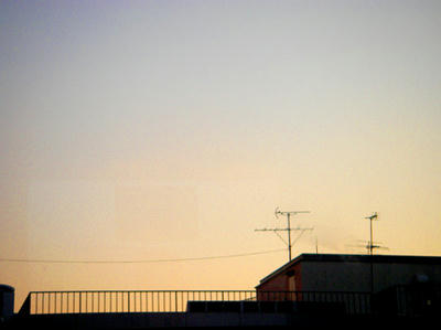 672406345_175.jpg