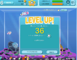 aqua36.JPG