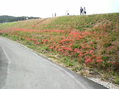2009092116030000.jpg