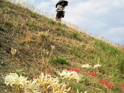 2009092116160000.jpg