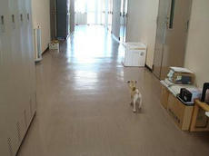 0917-3.JPG