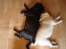 0910-1.jpg