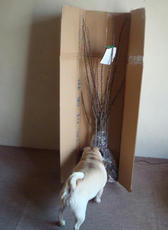 0214-1.jpg