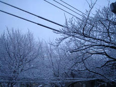 0218-2.jpg