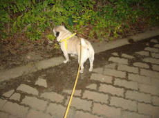 0303-9.jpg