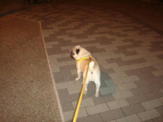 0303-10.jpg