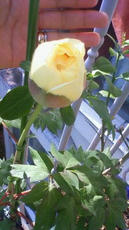 0429-b.jpg